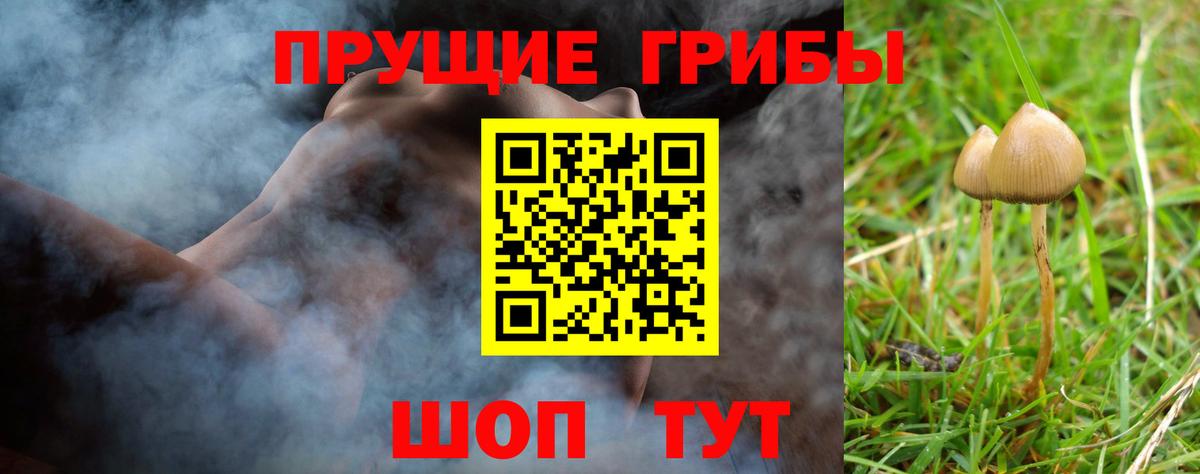 Галлюциногенные грибы прущие грибы  Вход с VPN  Мариинск 